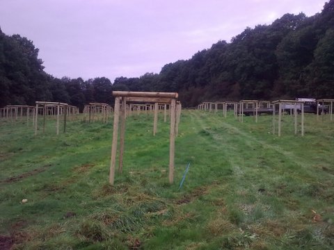 orchard tree guards